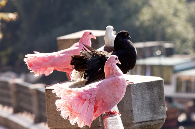 不仅是一次 不仅是一次