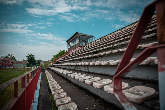 自己的实力 自己的实力