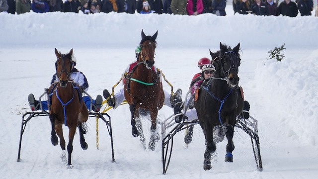 本次赛事不 本次赛事不