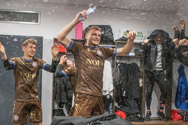 仅依靠天赋 仅依靠天赋