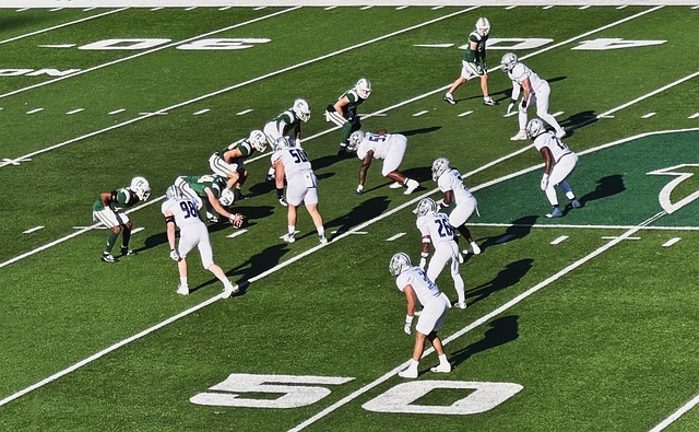 和融入团队 和融入团队