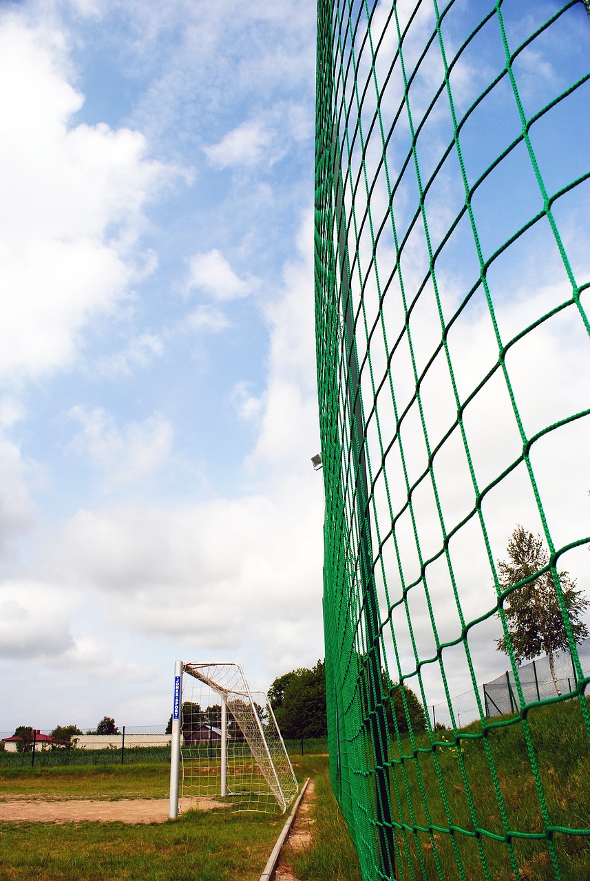 提出了以稳 提出了以稳